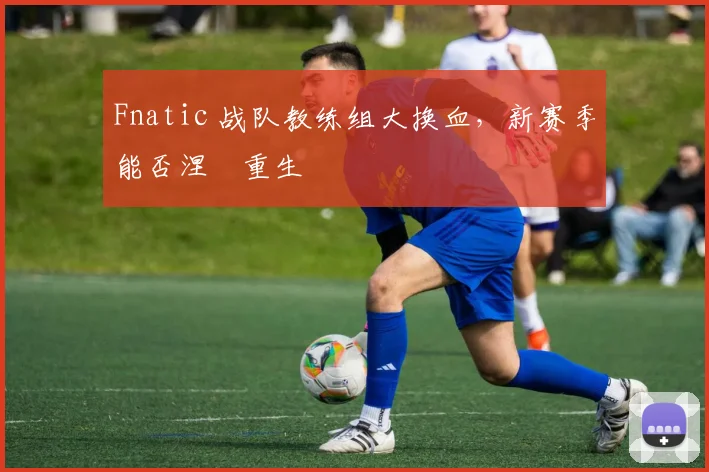 Fnatic 战队教练组大换血，新赛季能否涅槃重生